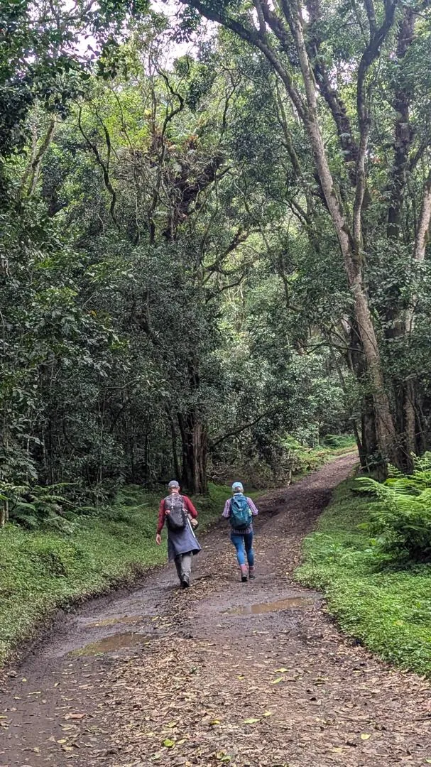 Mount Kilimanjaro trekking landscape